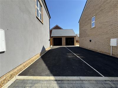 Picture 23